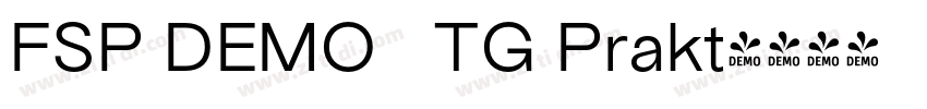 FSP DEMO   TG Prakt字体转换